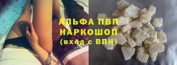 прущие грибы Ижевск