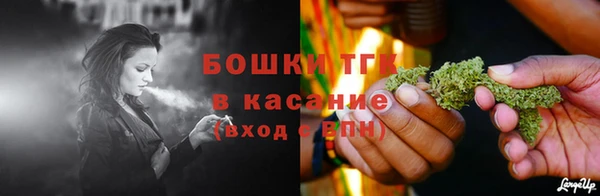 эйфоретик Инсар