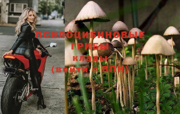 спиды Инта